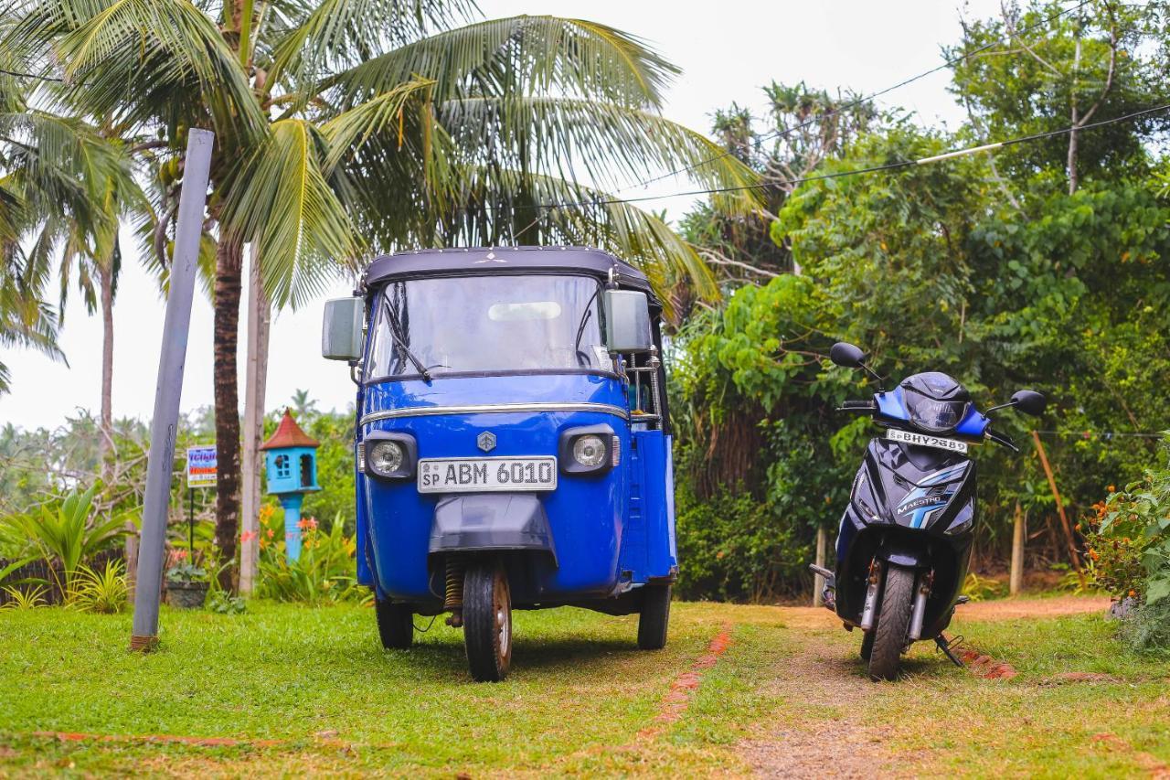 Tehan Homestay Dikwella Sur Exterior foto